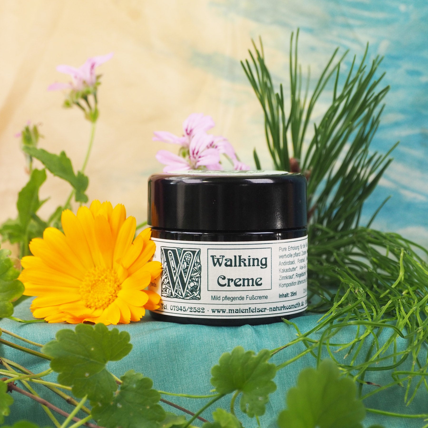 Walking Fußpflegecreme 35ml Tiegel. Daneben liegt eine Ringelblume.