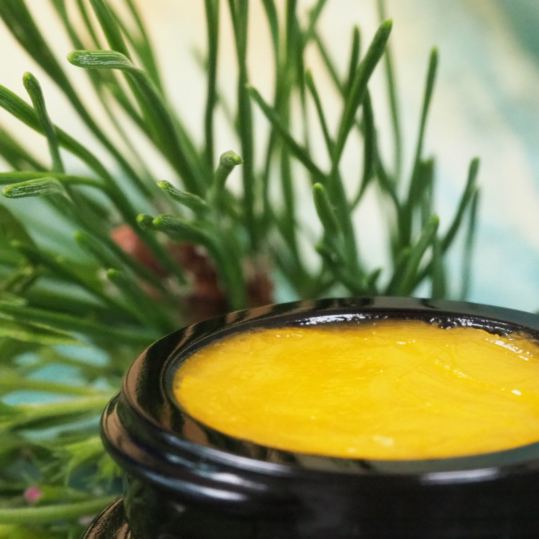 Geöffneter 7ml Fußbalsamtiegel.