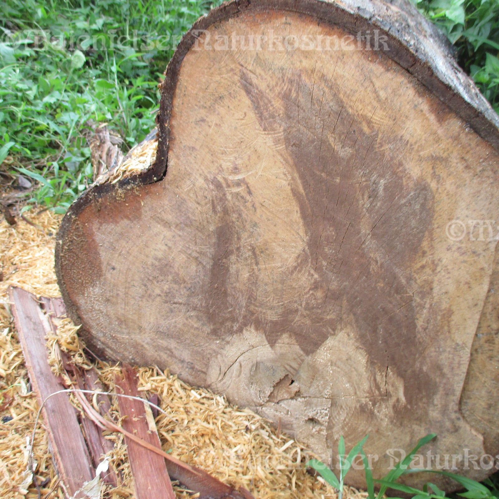 Adlerholz BIO (1 ml)