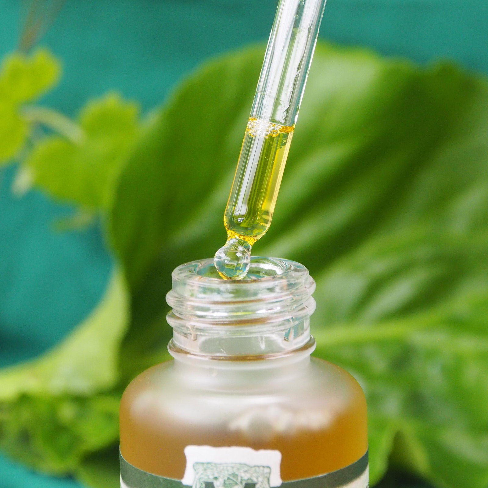 Pipette gefüllt mit Augenfältchen Serum