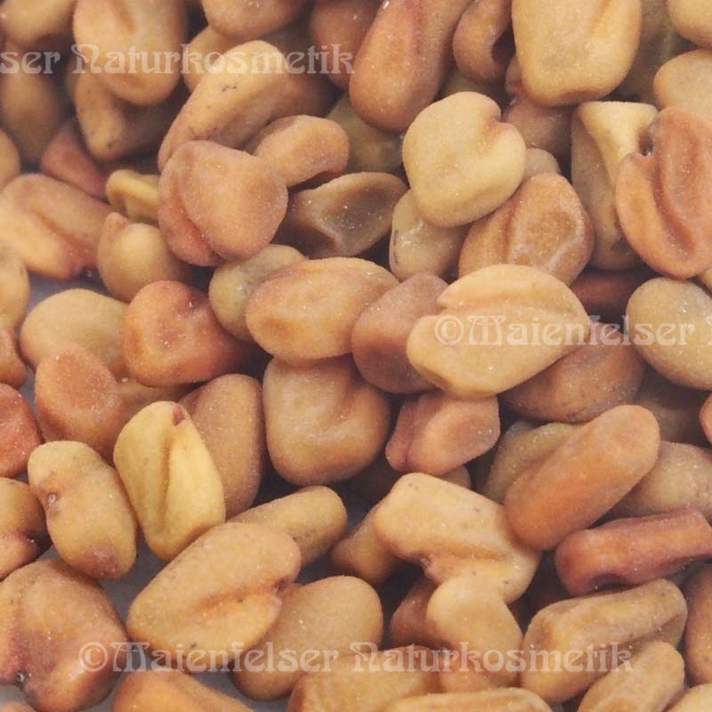 Bockshornklee dest. spezial (2 ml)