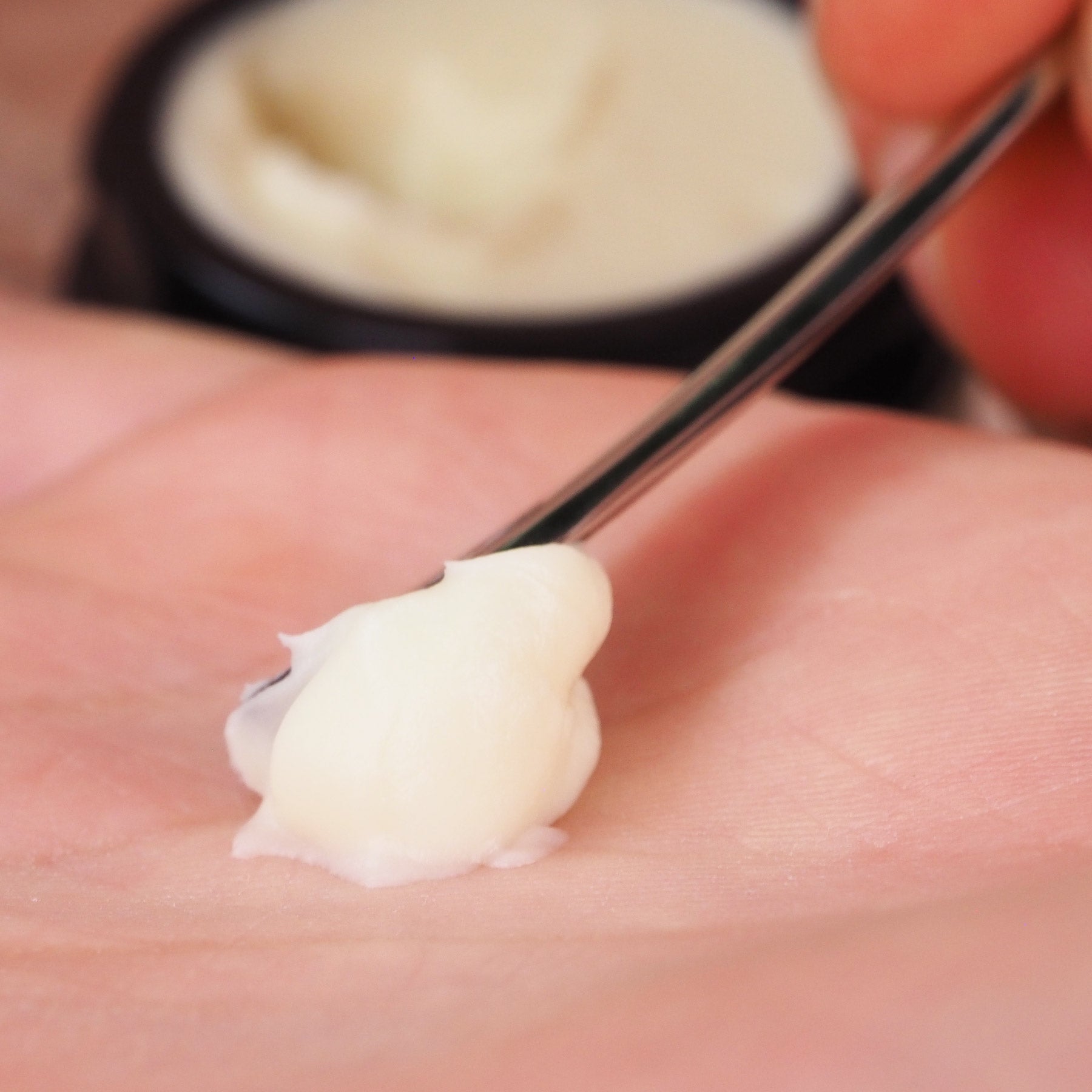 Zur Entnahme I Edelstahlspatel