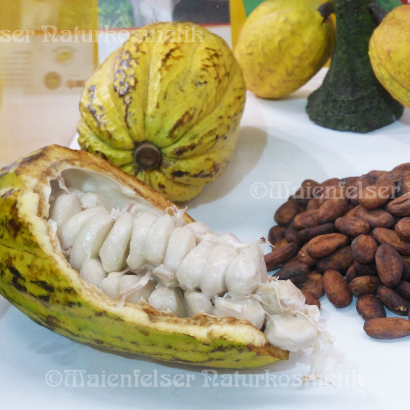 Kakao-Extrakt BIO (5 gr)