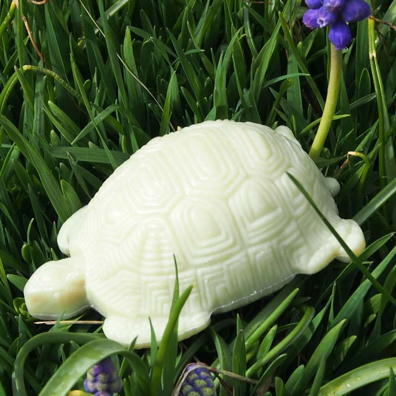 Lemongras-Seife Schildkröte
