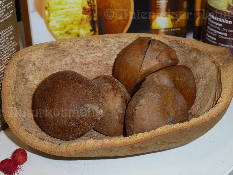 Andirobaöl (100 ml)