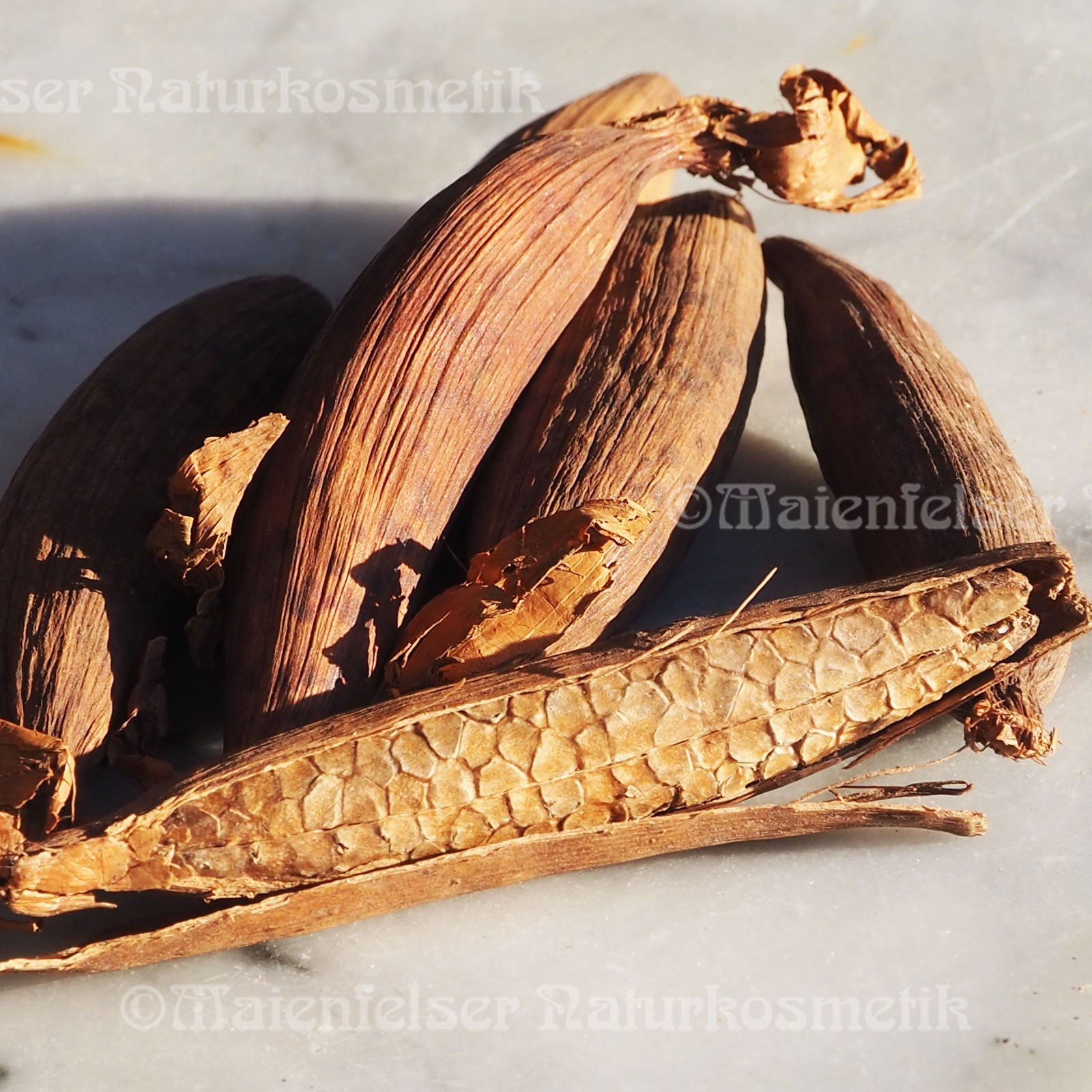 Maniguette fine (2ml)