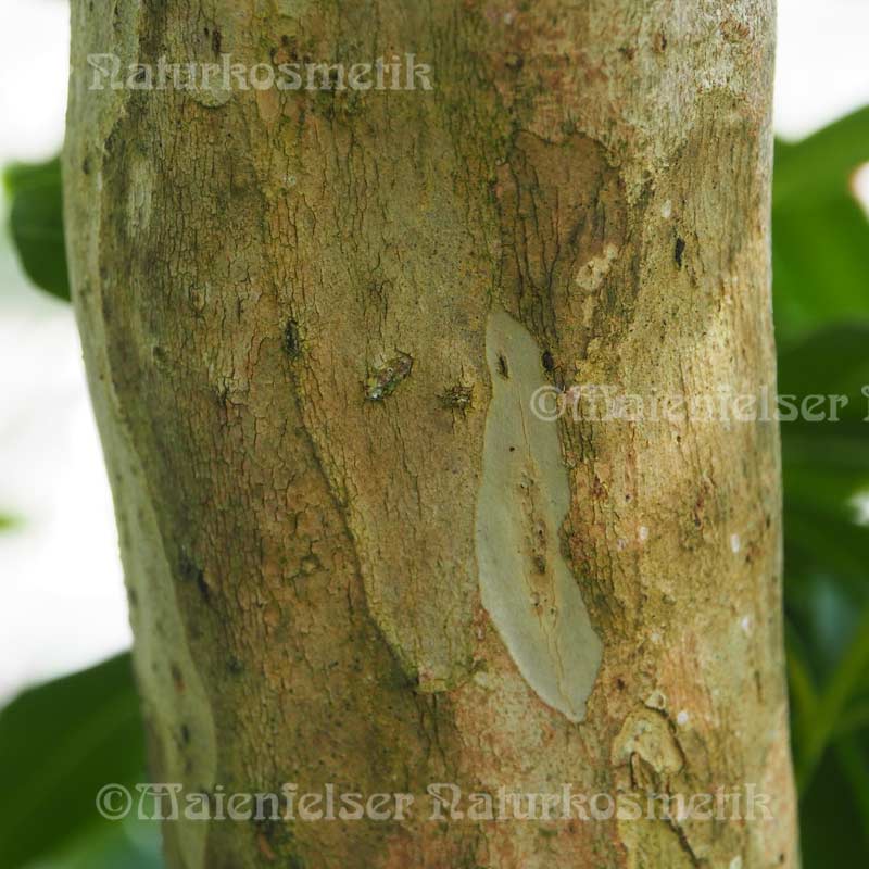 Pimentbeeren CO2 (3 ml)